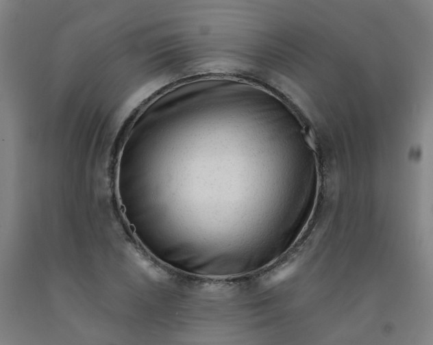 X0000091971026200709271403