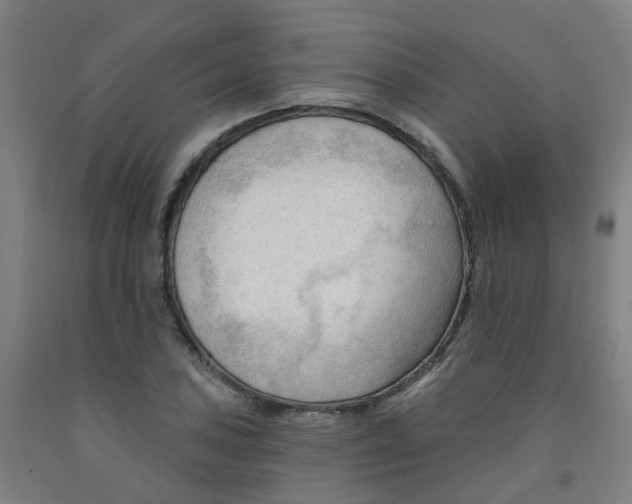 X0000091971027200709271403