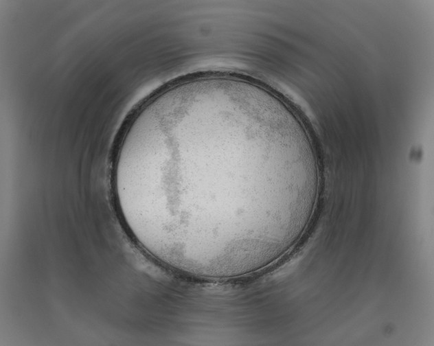 X0000091971029200709271403