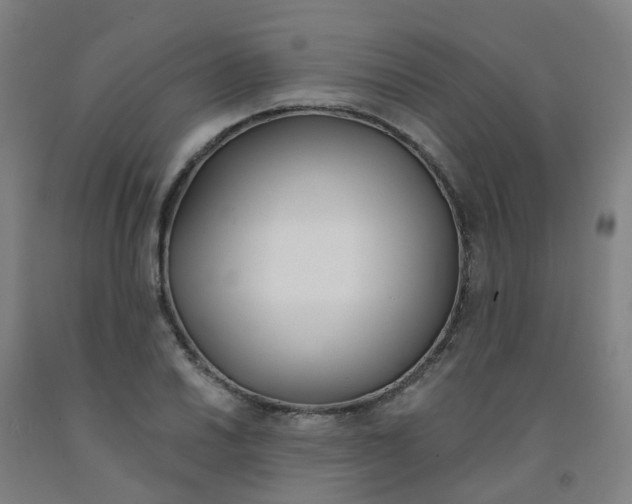 X0000091971030200709271403
