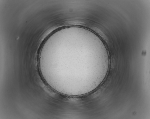 X0000091971031200709271403