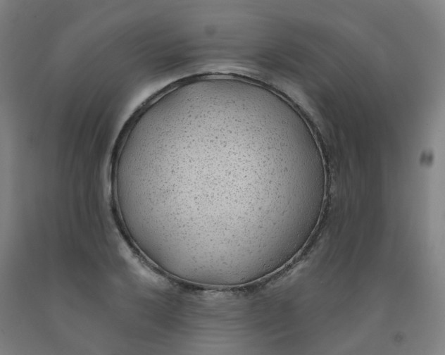 X0000091971032200709271403