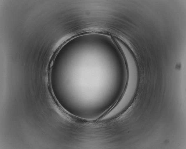 X0000091971034200709271403
