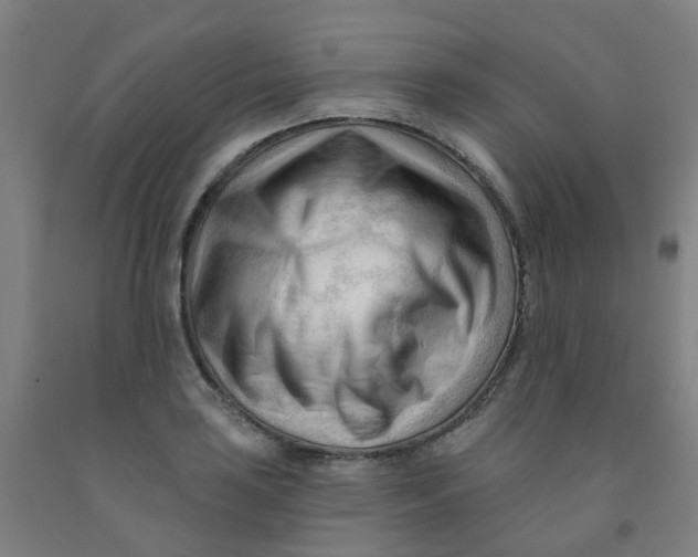 X0000091971035200709271403
