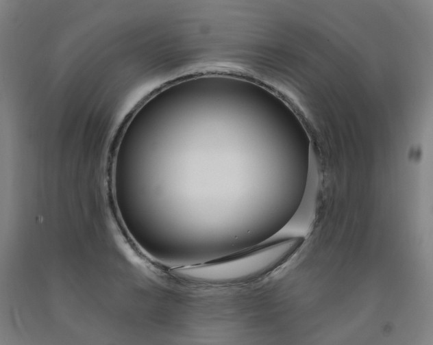 X0000091971038200709271403