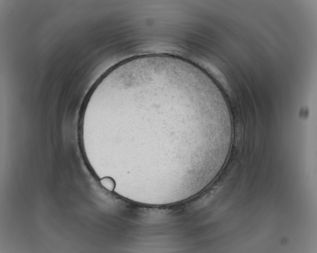 X0000091971039200709271403