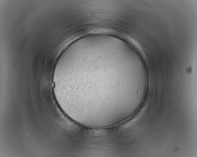 X0000091971041200709271403