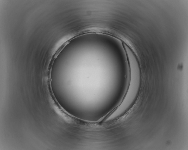 X0000091971042200709271403