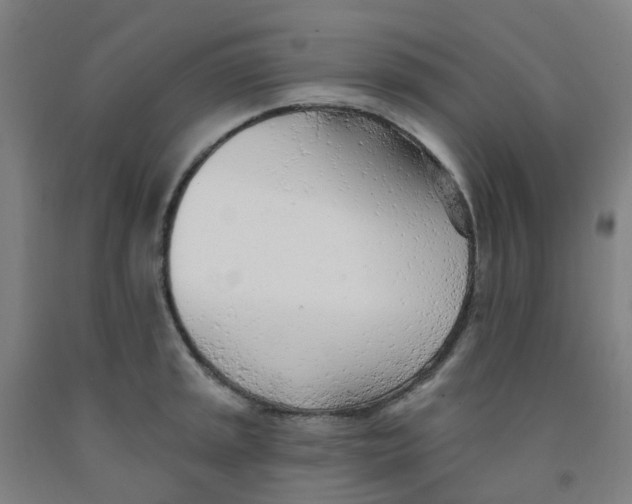 X0000091971045200709271403