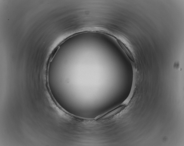 X0000091971046200709271403