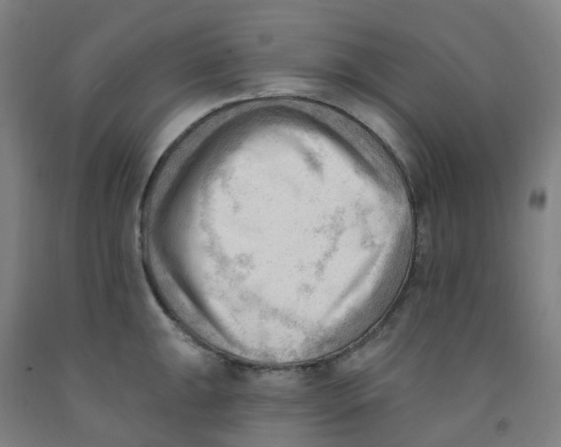 X0000091971047200709271403