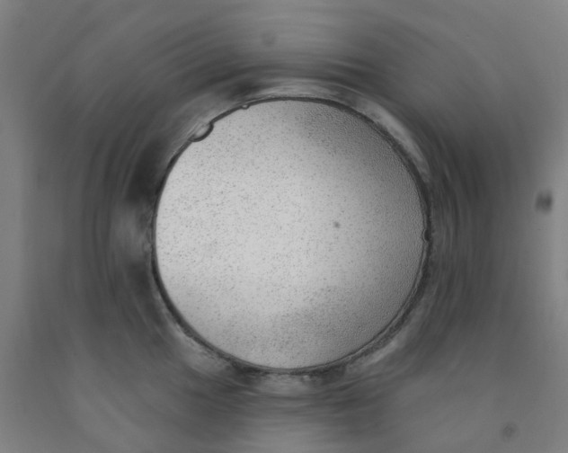 X0000091971049200709271403