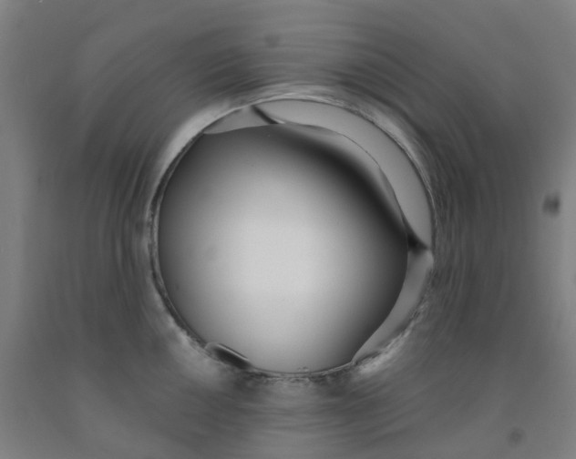 X0000091971050200709271403