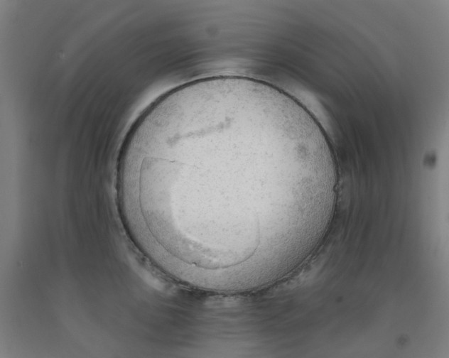 X0000091971051200709271403