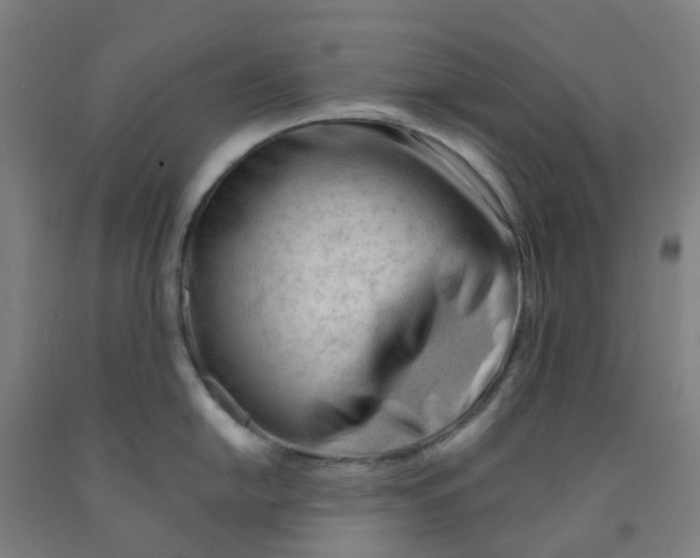 X0000091971054200709271403