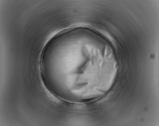 X0000091971055200709271403