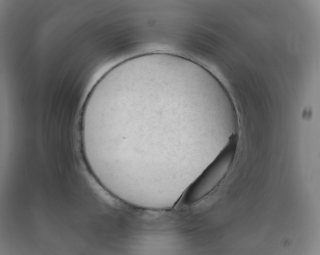 X0000091971056200709271403