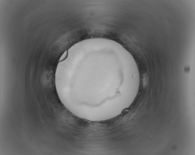 X0000091971059200709271403