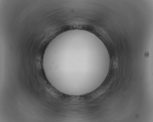 X0000091971060200709271403