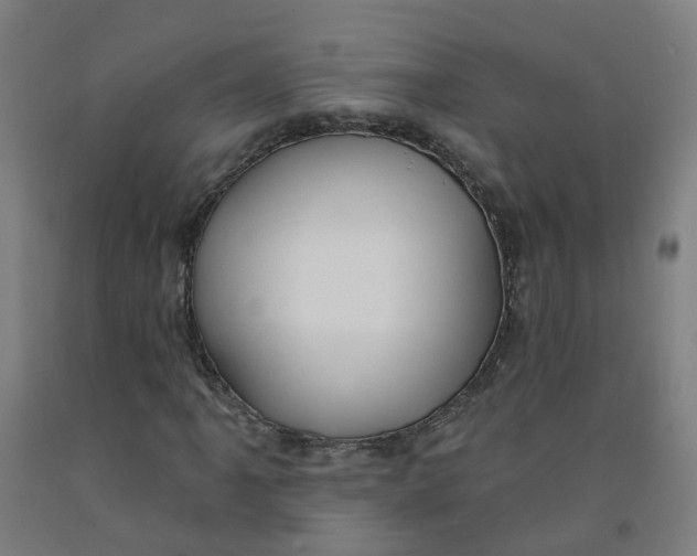 X0000091971061200709271403