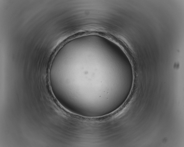 X0000091971065200709271403