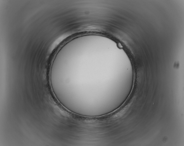X0000091971066200709271403