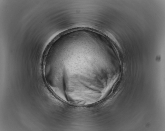 X0000091971068200709271402