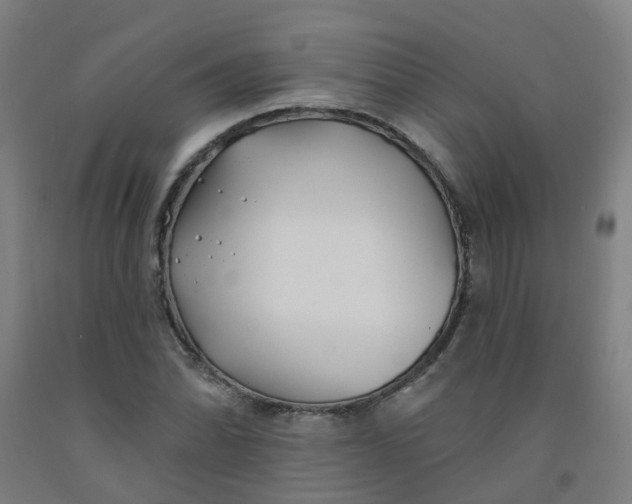 X0000091971070200709271402