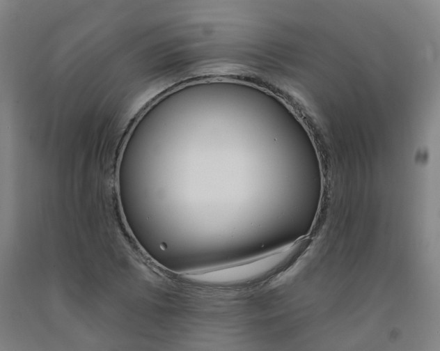 X0000091971073200709271402