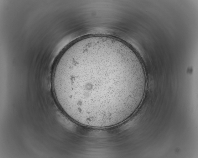 X0000091971075200709271402