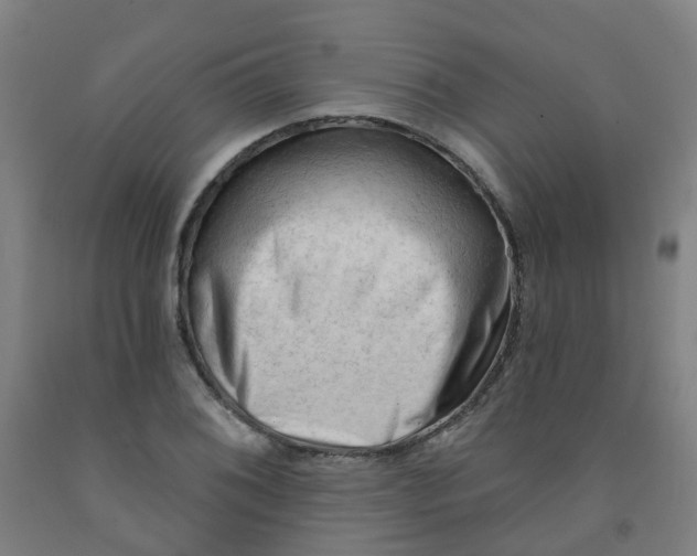 X0000091971076200709271402