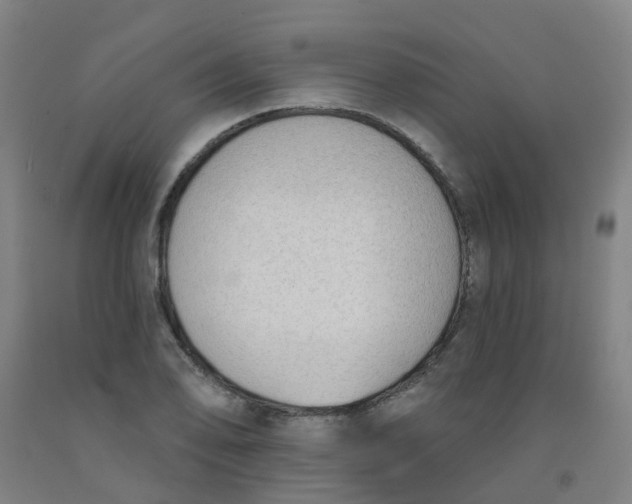 X0000091971078200709271402