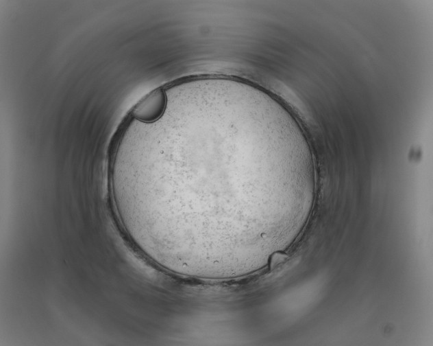 X0000091971079200709271402