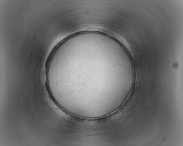X0000091971080200709271402