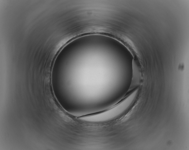 X0000091971081200709271402