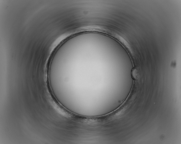 X0000091971082200709271402