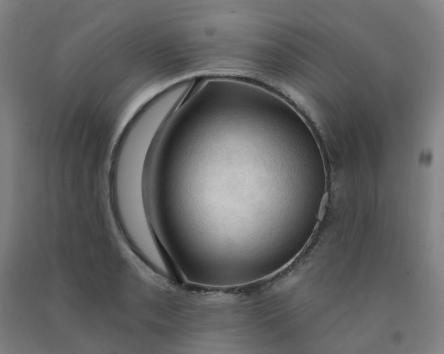 X0000091971085200709271402