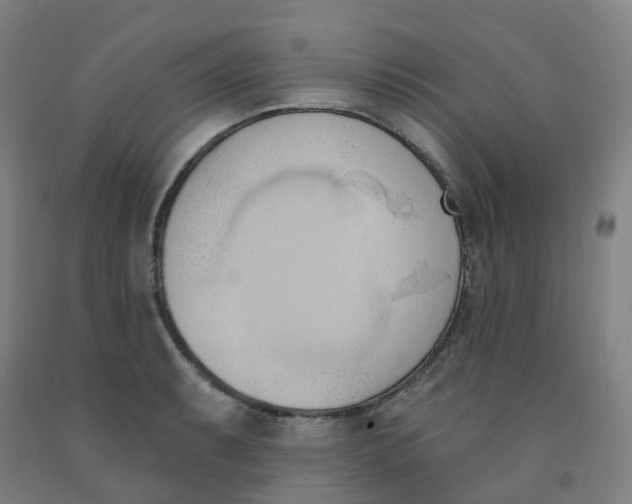 X0000091971087200709271402