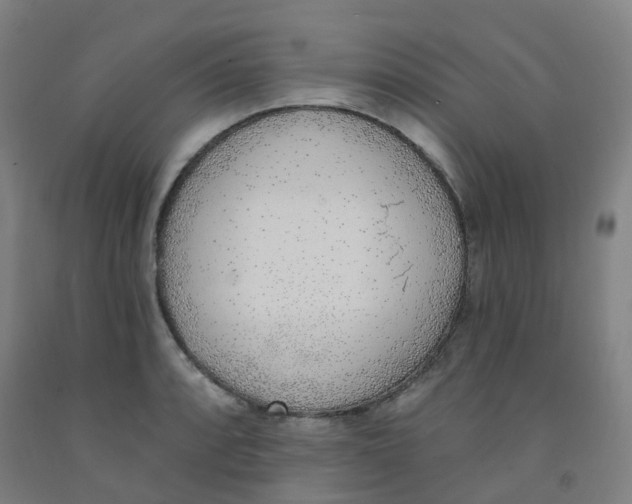 X0000091971088200709271402