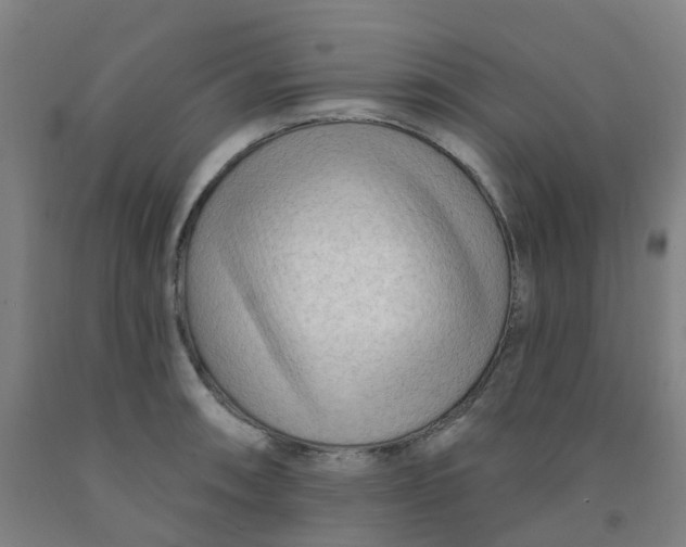 X0000091971090200709271402