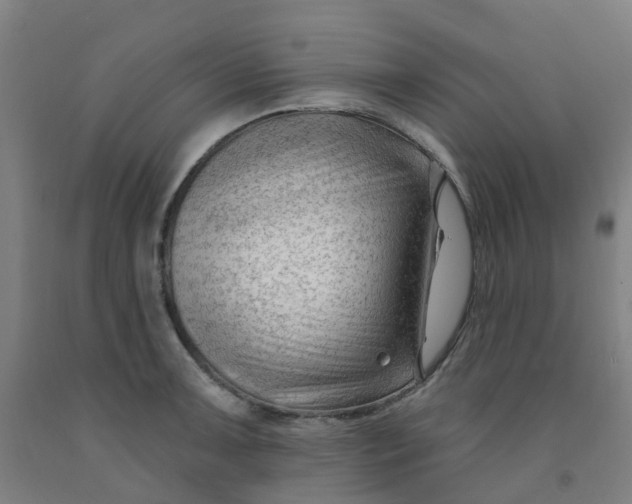 X0000091971091200709271402