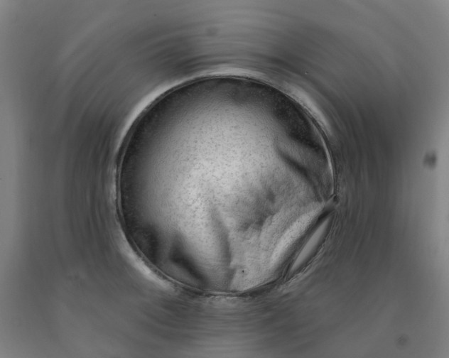 X0000091971092200709271402