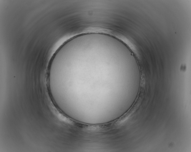 X0000091971094200709271402