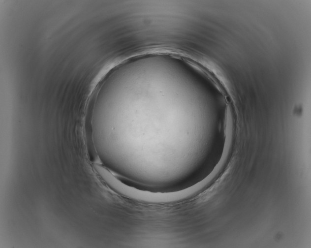 X0000091971097200709271402