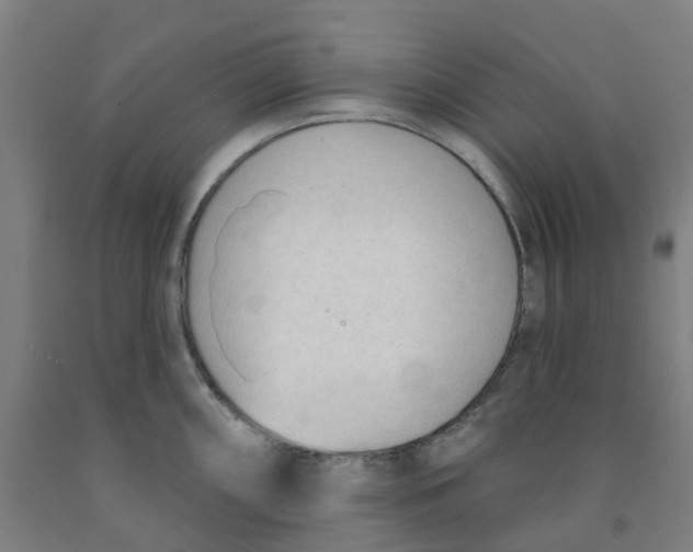 X0000091971098200709271402