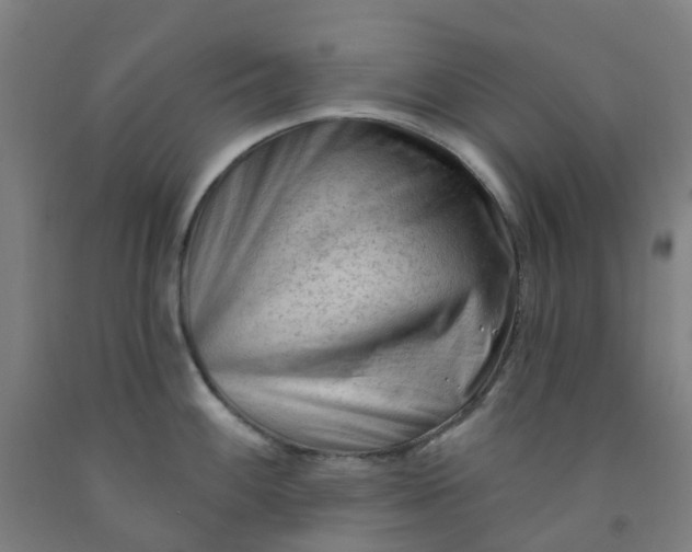 X0000091971100200709271402