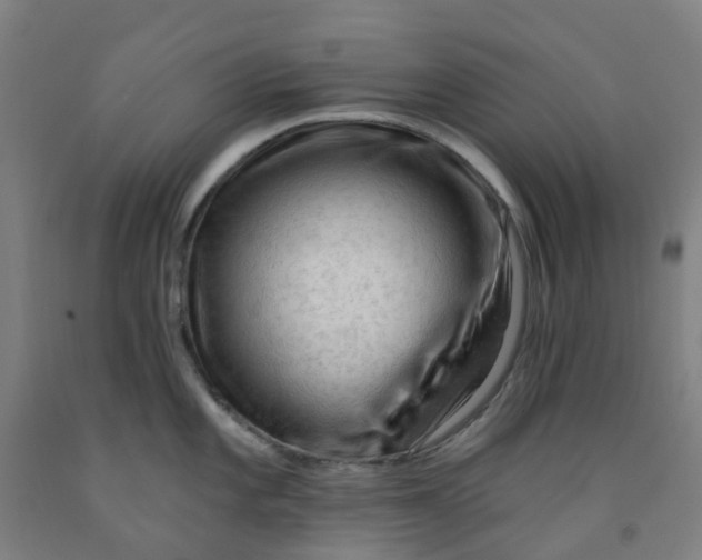 X0000091971101200709271402