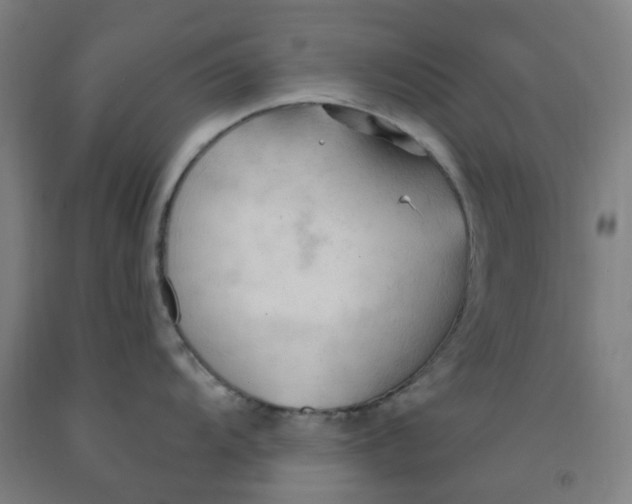 X0000091971104200709271402