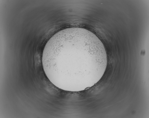 X0000091971106200709271401