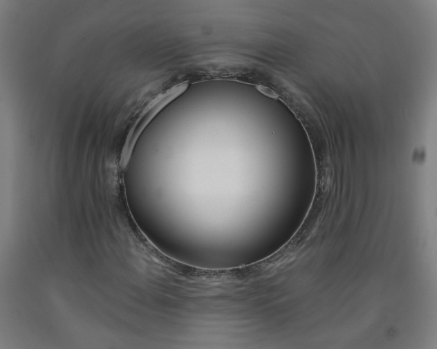 X0000091971108200709271401